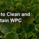 How to Clean and Maintain WPC