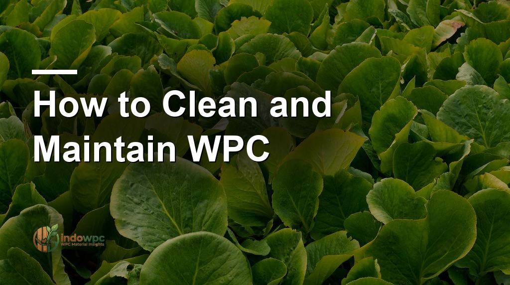 How to Clean and Maintain WPC