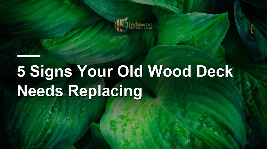 5 Signs Your Old Wood Deck Needs Replacing