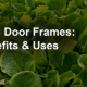 WPC Door Frames: Benefits & Uses
